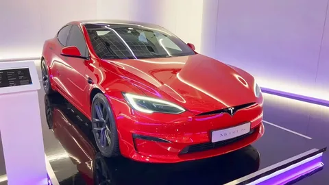 Merrilllynch Model S Plaid